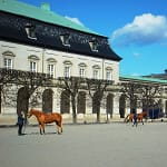 Horses Outside Parliament